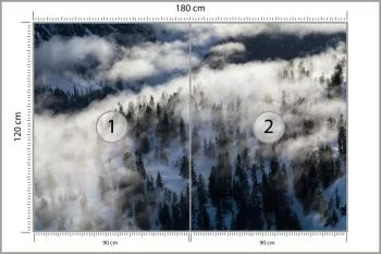 Fototapeta Las We Mgle - obrazek 3