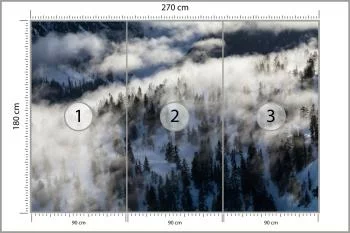 Fototapeta Las We Mgle - obrazek 3