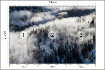 Fototapeta Las We Mgle - obrazek 3