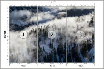 Fototapeta Las We Mgle - obrazek 3