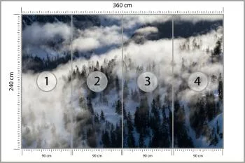 Fototapeta Las We Mgle - obrazek 3