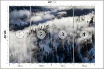 Fototapeta Las We Mgle - obrazek 3
