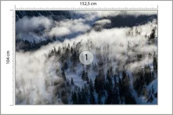 Fototapeta Las We Mgle - obrazek 3