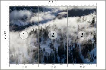 Fototapeta Las We Mgle - obrazek 3