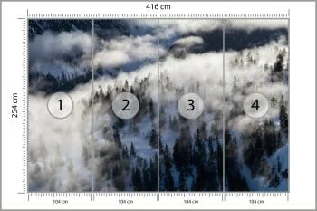 Fototapeta Las We Mgle - obrazek 3
