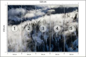 Fototapeta Las We Mgle - obrazek 3