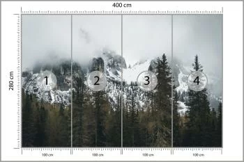 Fototapeta Las We Mgle - obrazek 3