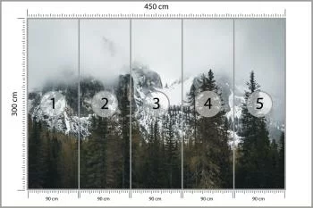 Fototapeta Las We Mgle - obrazek 3