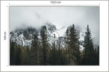 Fototapeta Las We Mgle - obrazek 3