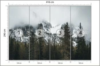 Fototapeta Las We Mgle - obrazek 3