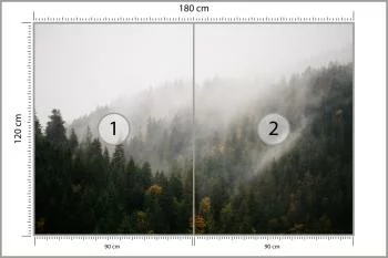Fototapeta Las We Mgle - obrazek 3