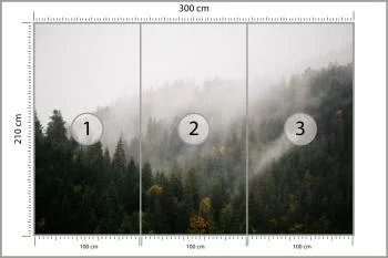 Fototapeta Las We Mgle - obrazek 3