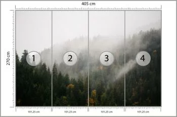 Fototapeta Las We Mgle - obrazek 3