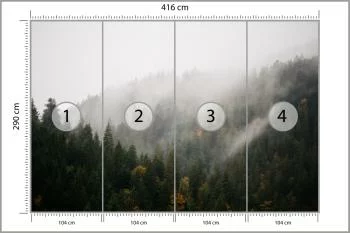 Fototapeta Las We Mgle - obrazek 3