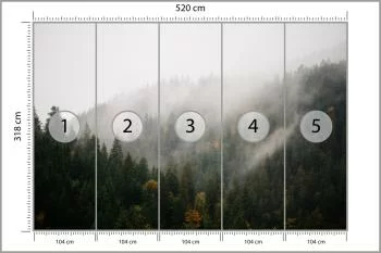 Fototapeta Las We Mgle - obrazek 3