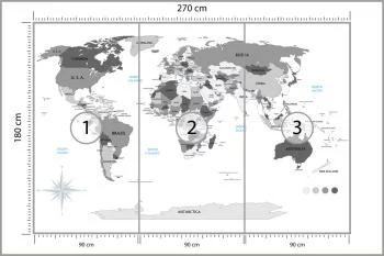 Fototapeta Mapa Świata - Odcienie Szarości z Kompasem - obrazek 3