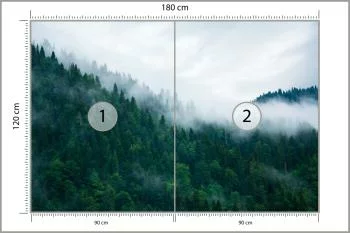 Fototapeta Las We Mgle - obrazek 3