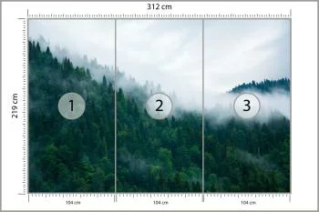Fototapeta Las We Mgle - obrazek 3