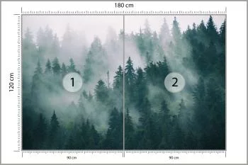 Fototapeta Las We Mgle - obrazek 3