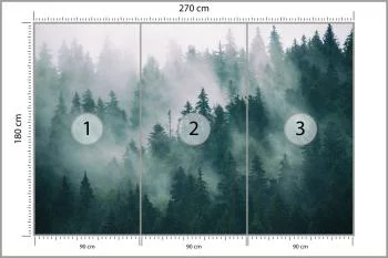 Fototapeta Las We Mgle - obrazek 3