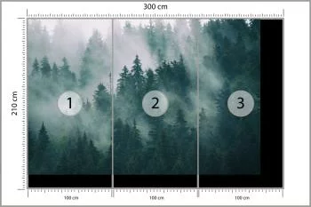 Fototapeta Las We Mgle - obrazek 3