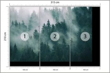 Fototapeta Las We Mgle - obrazek 3