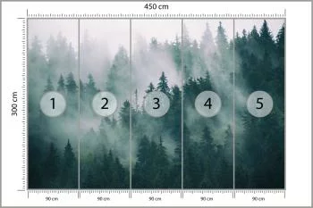 Fototapeta Las We Mgle - obrazek 3