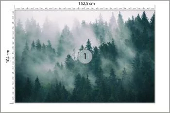 Fototapeta Las We Mgle - obrazek 3