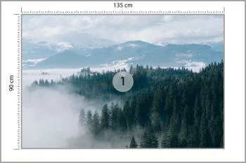 Fototapeta - Zimowy Las we Mgle - obrazek 3
