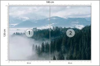 Fototapeta - Zimowy Las we Mgle - obrazek 3