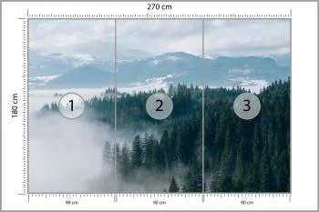 Fototapeta - Zimowy Las we Mgle - obrazek 3