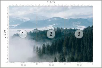 Fototapeta - Zimowy Las we Mgle - obrazek 3