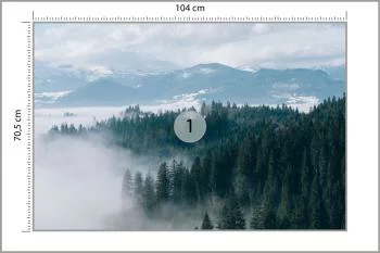 Fototapeta - Zimowy Las we Mgle - obrazek 3