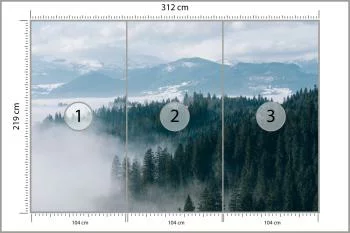 Fototapeta - Zimowy Las we Mgle - obrazek 3