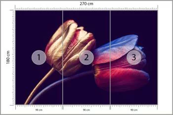 Fototapeta Tulipany Ze Złotymi Elementami - obrazek 3