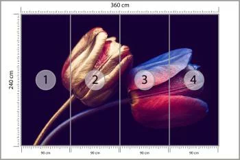 Fototapeta Tulipany Ze Złotymi Elementami - obrazek 3