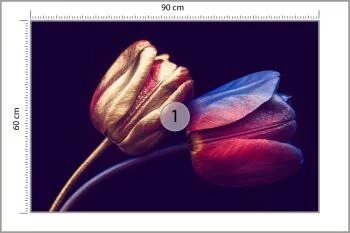 Fototapeta Tulipany Ze Złotymi Elementami - obrazek 3
