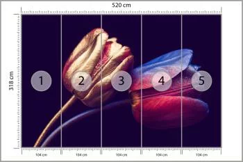 Fototapeta Tulipany Ze Złotymi Elementami - obrazek 3