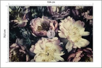 Fototapeta Kolorowe Piwonie Vintage - obrazek 3