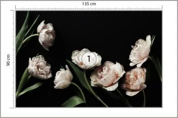 Fototapeta Peonie I Zielone Liście - obrazek 3