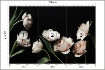 Fototapeta Peonie I Zielone Liście - obrazek 3