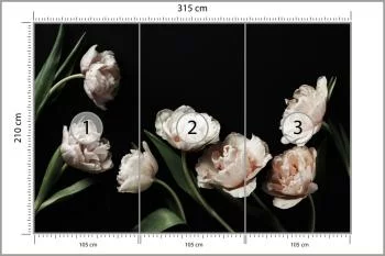 Fototapeta Peonie I Zielone Liście - obrazek 3