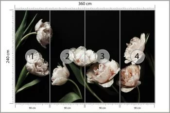 Fototapeta Peonie I Zielone Liście - obrazek 3