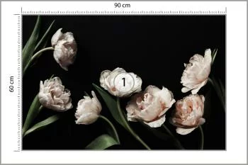 Fototapeta Peonie I Zielone Liście - obrazek 3