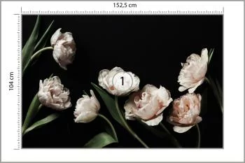 Fototapeta Peonie I Zielone Liście - obrazek 3