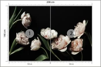 Fototapeta Peonie I Zielone Liście - obrazek 3