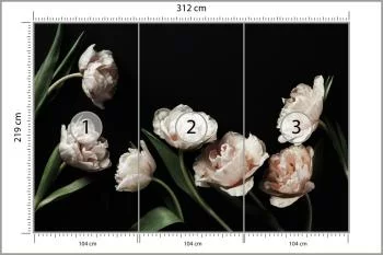 Fototapeta Peonie I Zielone Liście - obrazek 3