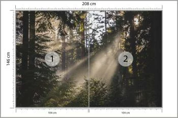 Fototapeta - Promienie Słońca Przenikające przez Las - obrazek 3