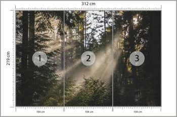 Fototapeta - Promienie Słońca Przenikające przez Las - obrazek 3