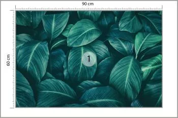 Fototapeta Ciemne Liście Tropikalne - obrazek 3